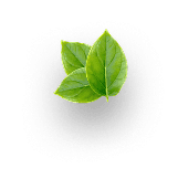 Nature's Rare Leaf